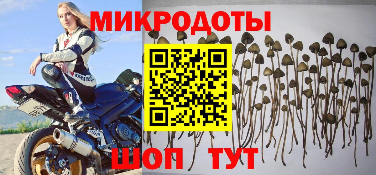 Псилоцибиновые грибы GOLDEN TEACHER Грозный