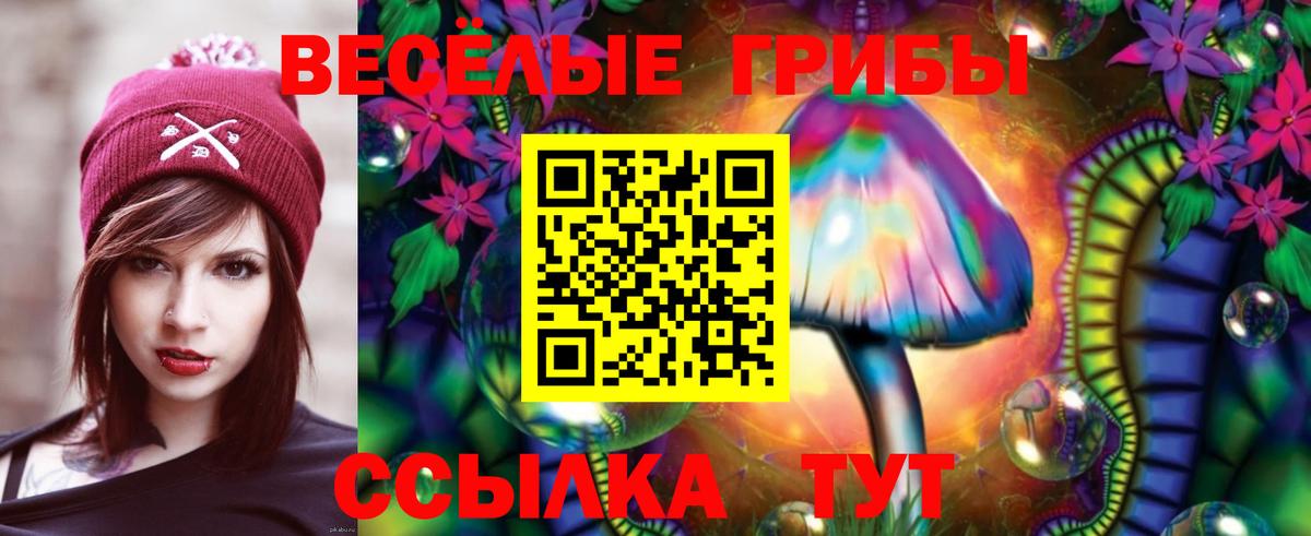 Галлюциногенные грибы MAGIC MUSHROOMS  Вход с VPN  Галлюциногенные грибы Cubensis  Грозный 